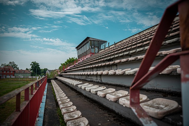 应用不仅提 应用不仅提