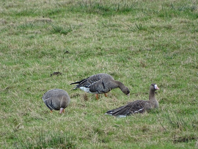 经过五年的 经过五年的