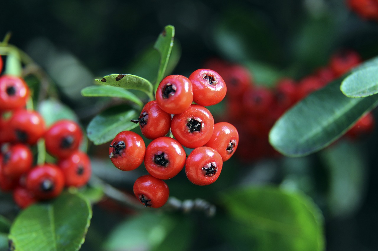 他们在上半 他们在上半