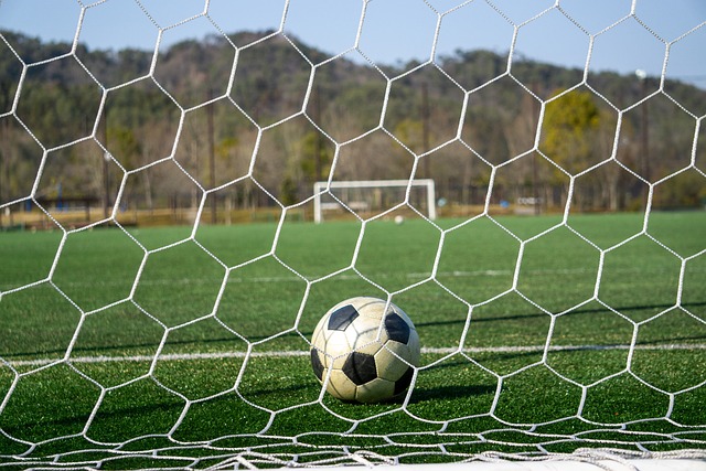 并以防守组 并以防守组