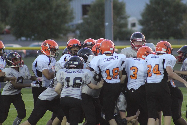 体育评论员 体育评论员