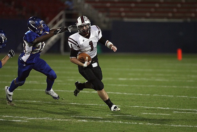 勇士队未来