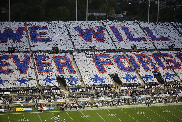 国家队不可